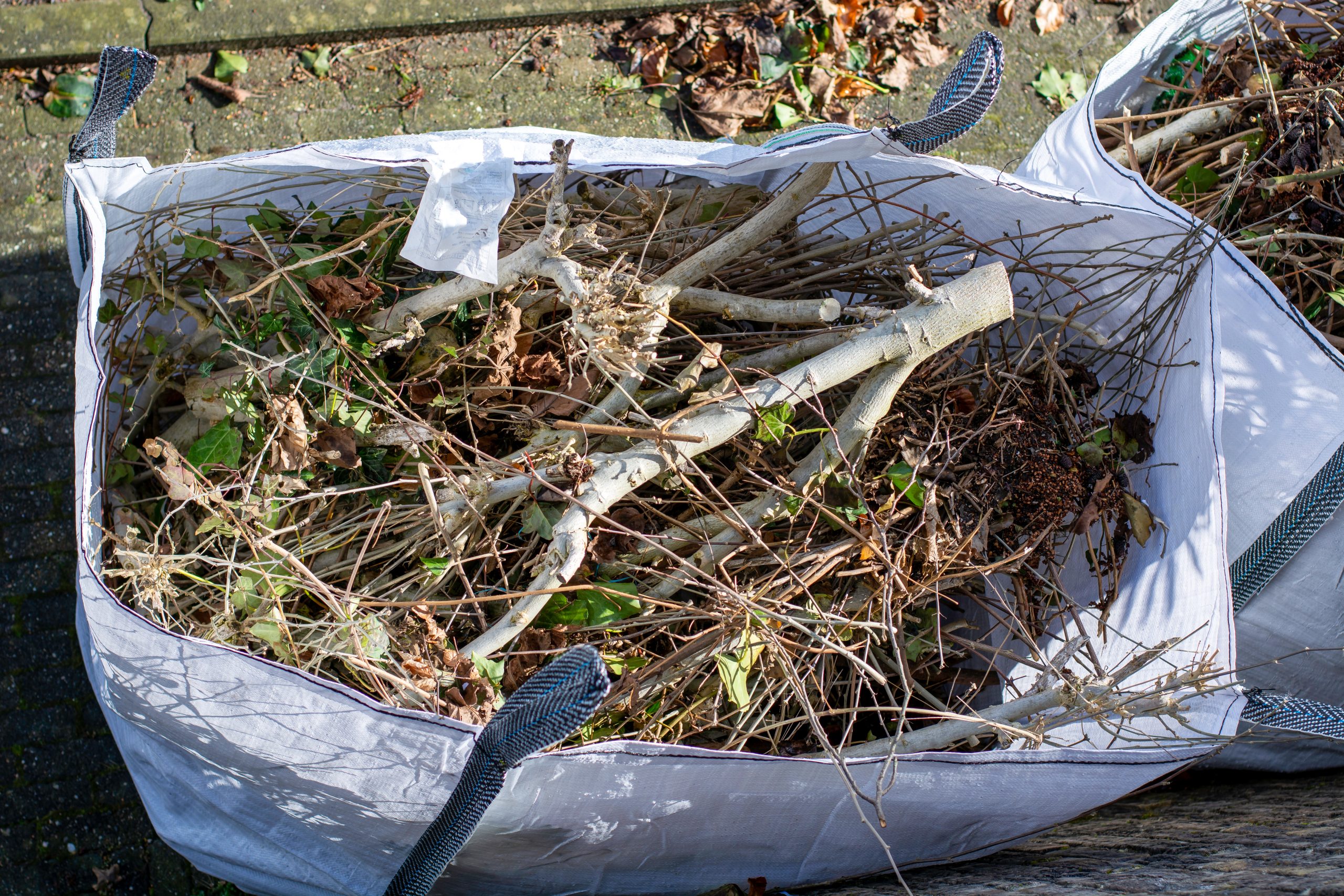 Garden Clearance Charlton SE7