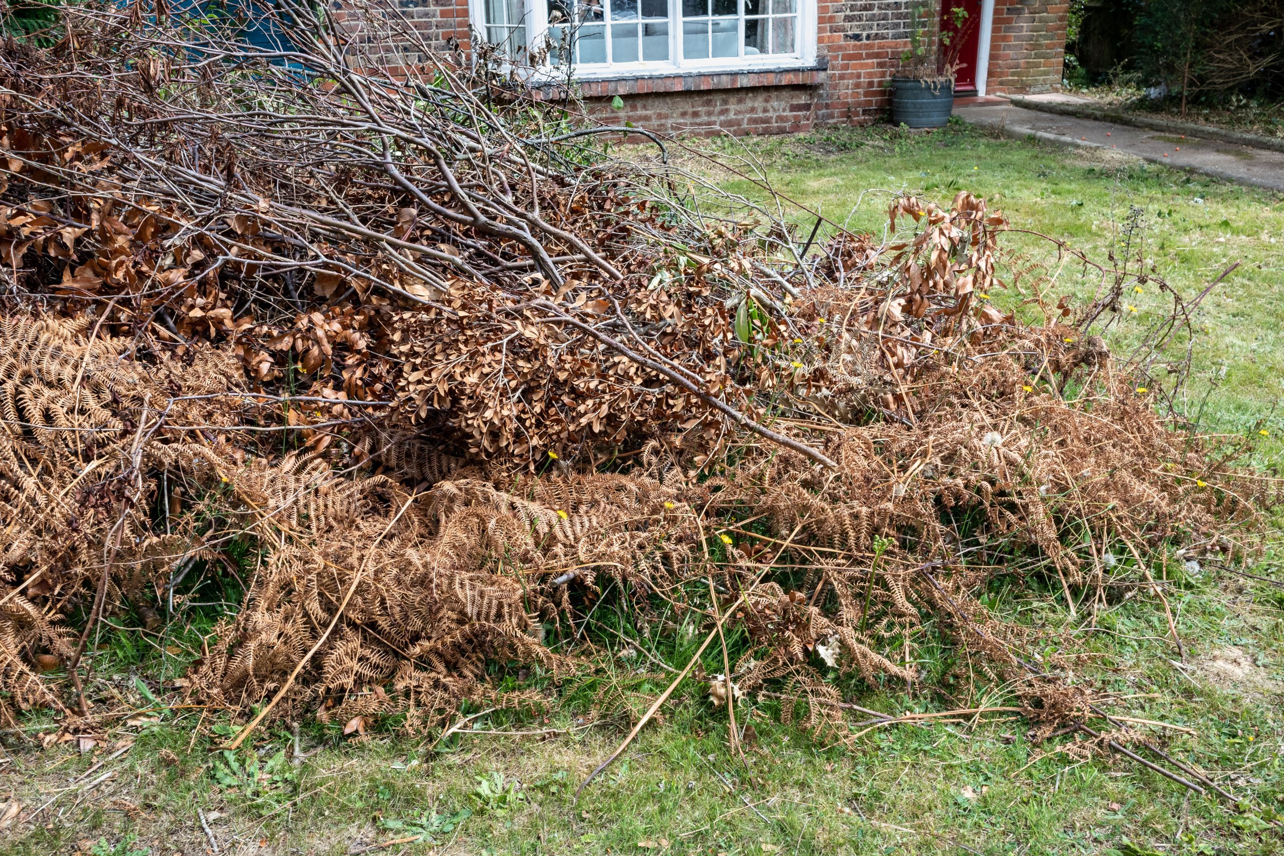 Garden Green Waste Removal Charlton SE7